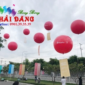 Cho Thuê Khinh Khí Cầu